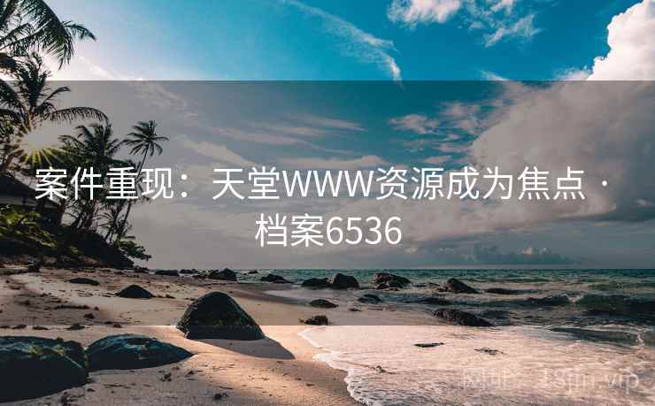 案件重现：天堂WWW资源成为焦点 · 档案6536